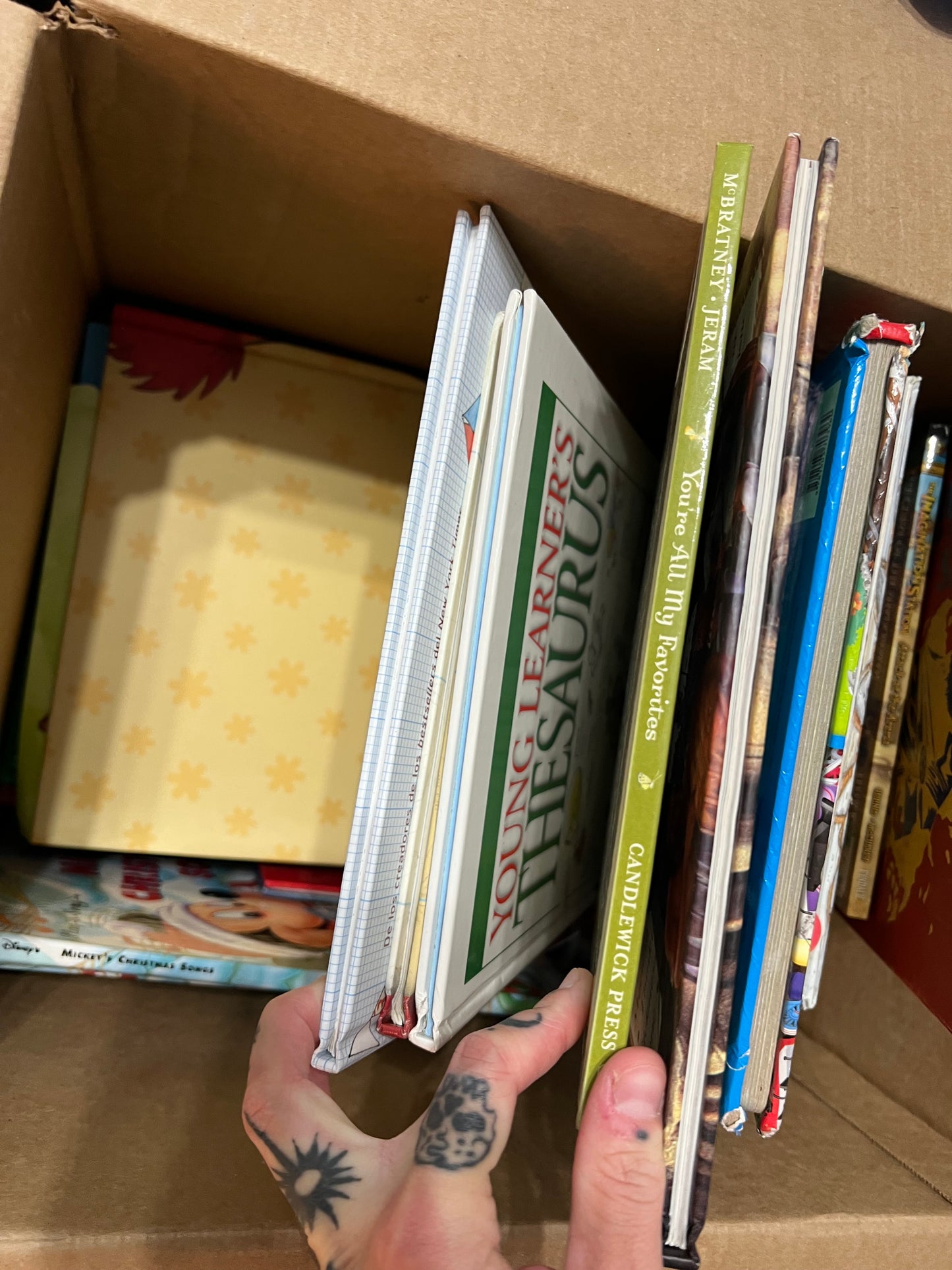 25 assorted hardcover children’s books