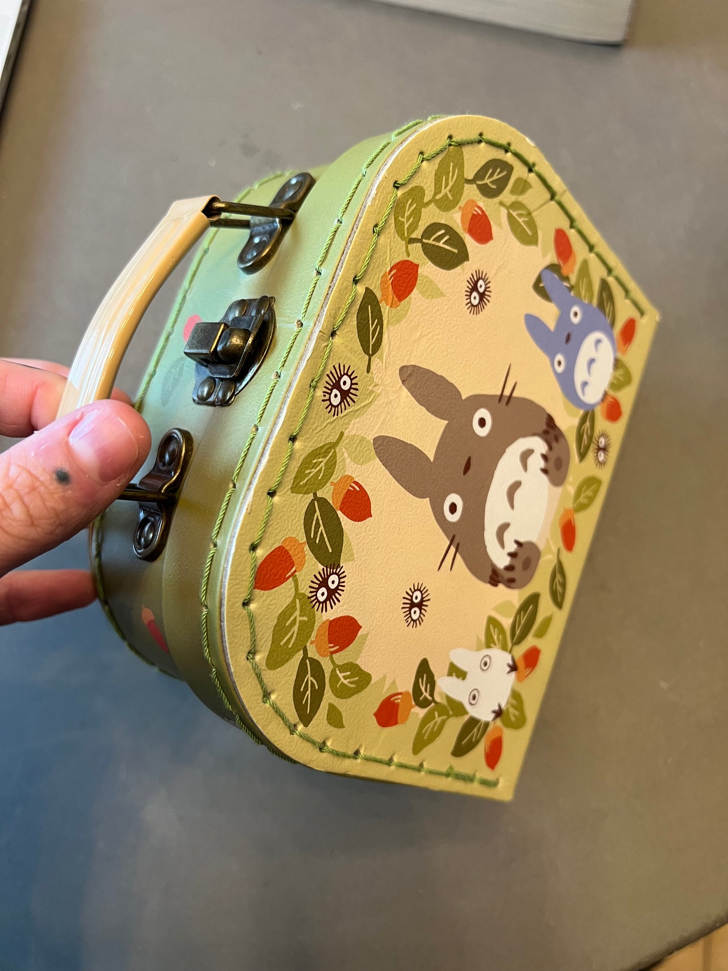 Totoro case!