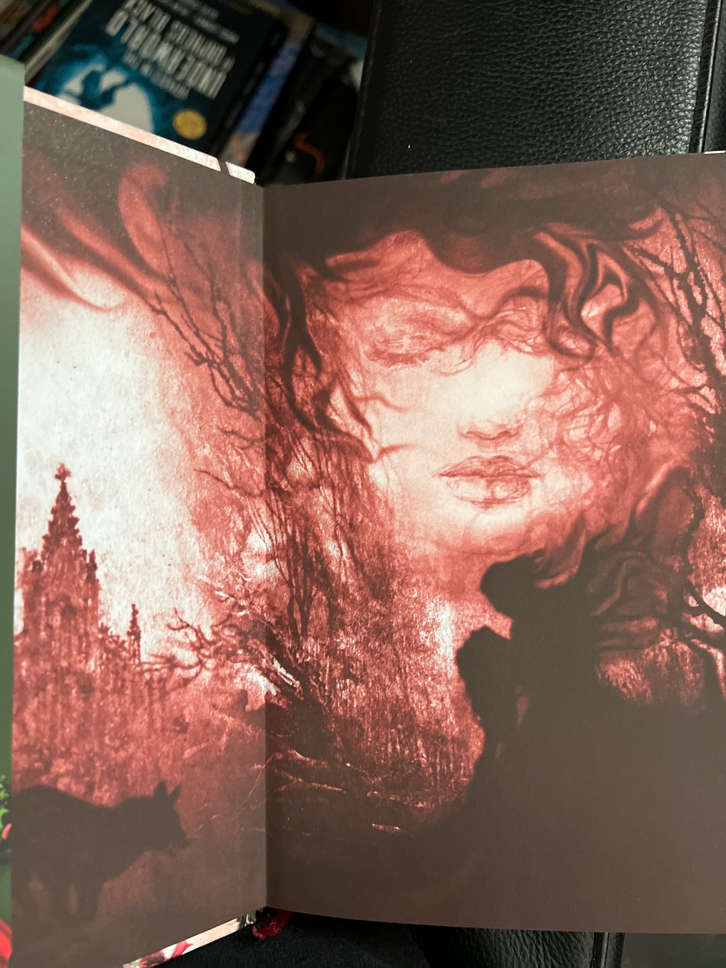Foxglove by Adalyn Grace Turkish Edition