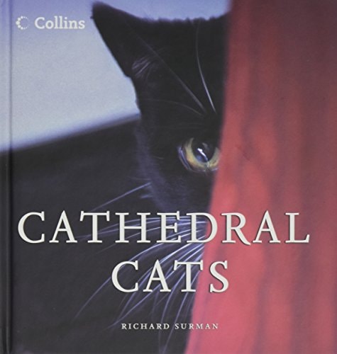 Xcathedral Cats Mini ed Bks