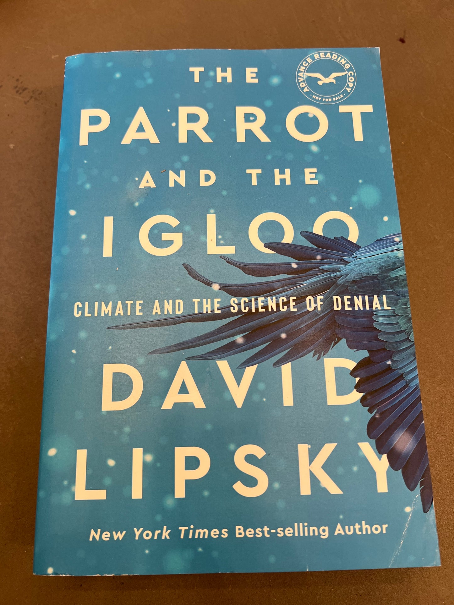 The parrot and the igloo