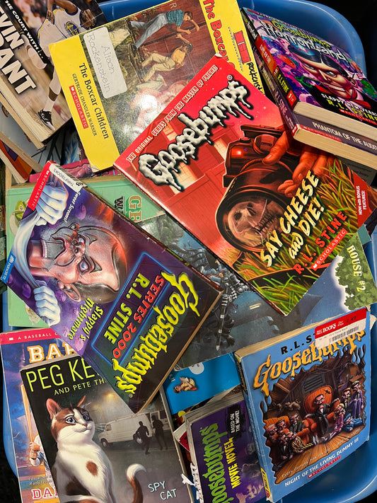 30 assorted kids chapter books $10