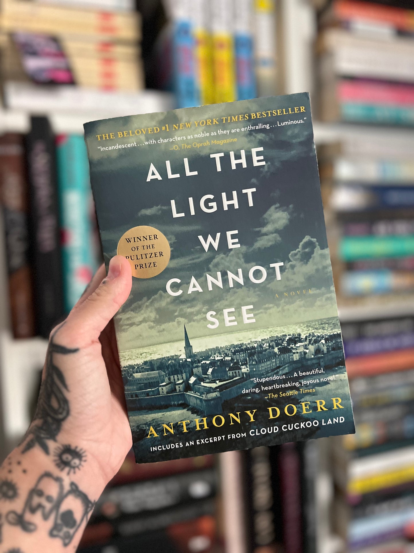 All the light we cannot see
