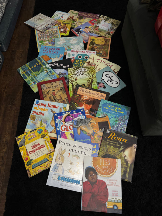 25 assorted hardcover children’s books