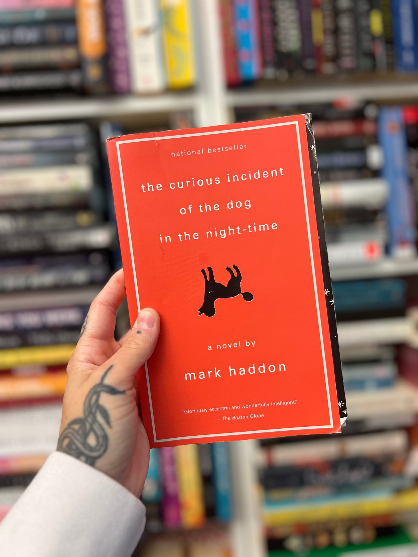 The Curious Incident of the dog in the night-time by mark haddon