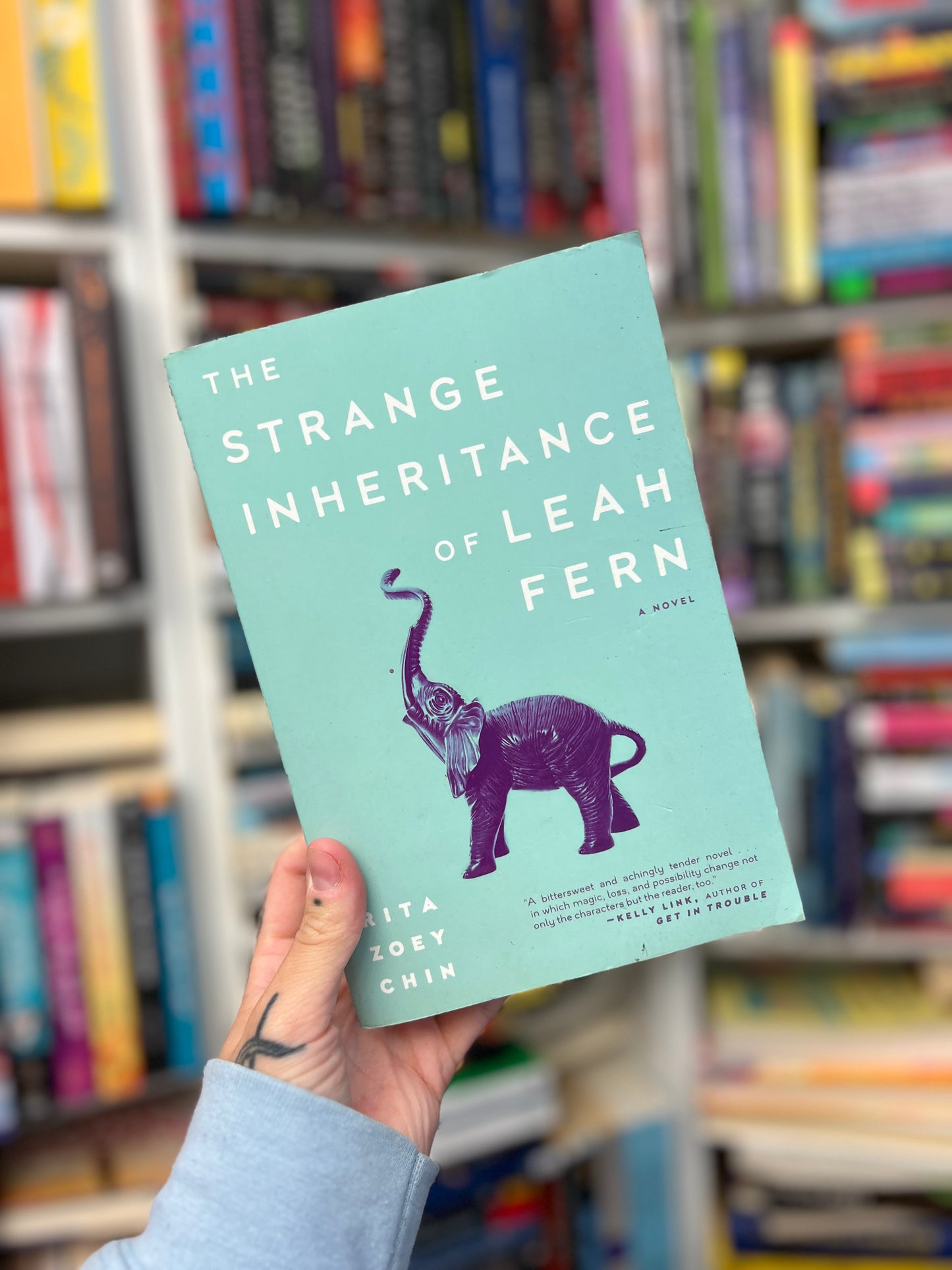 THE STRANGE INHERITANCE OF LEAH FERN by Rita Zoey Chin