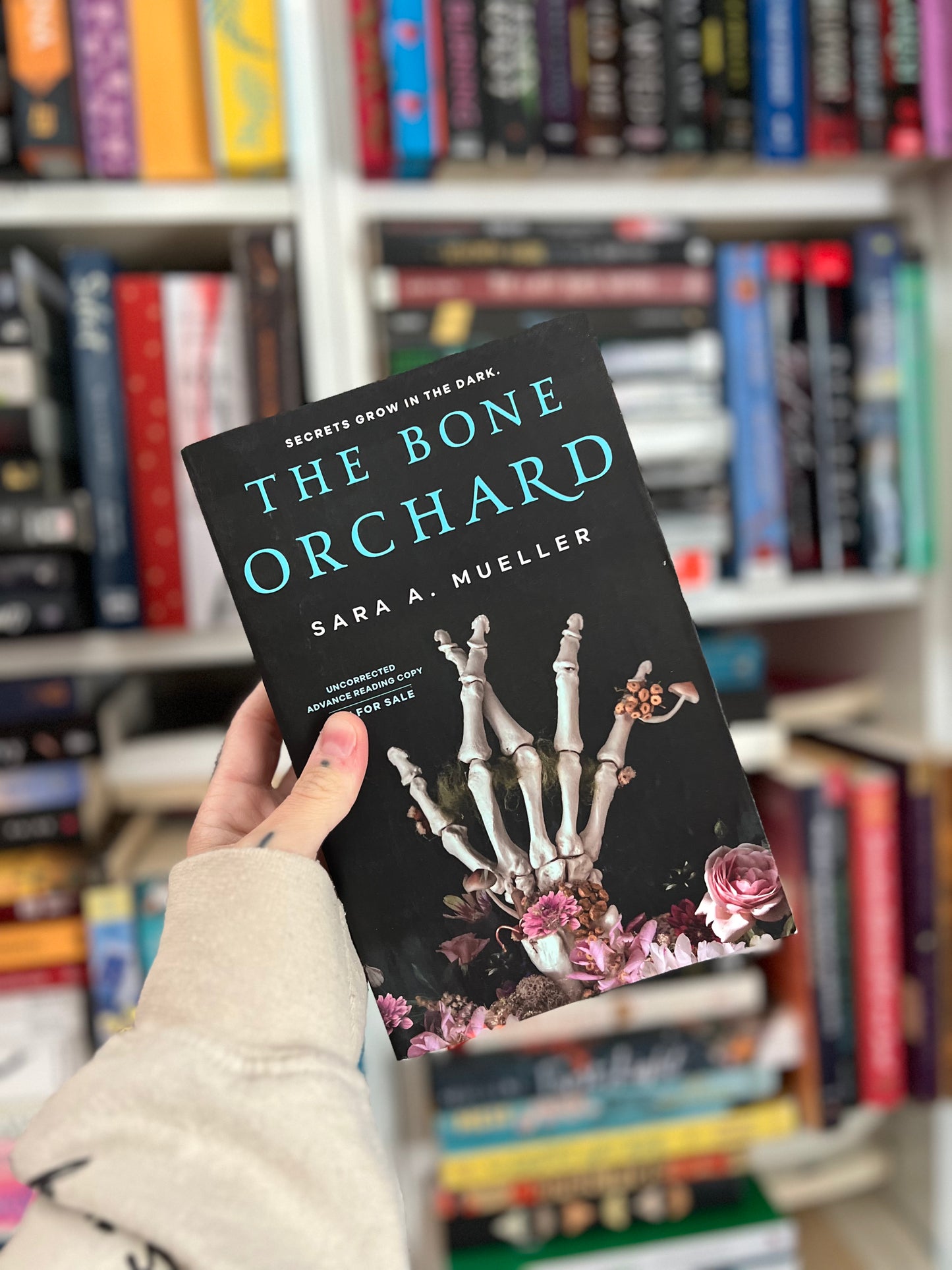 The Bone Orchard by SARA A. MUELLER