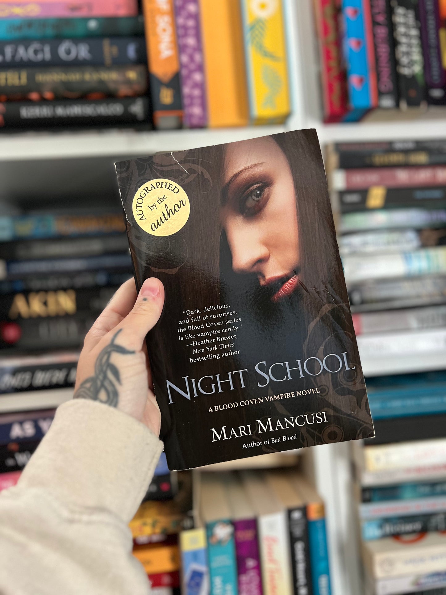 Night School by MARI MANCUSI