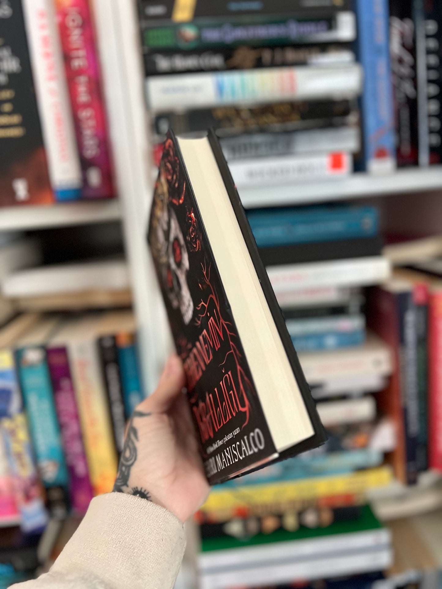 Kingdom of the Feared by Kerri Maniscalco Turkish Edition