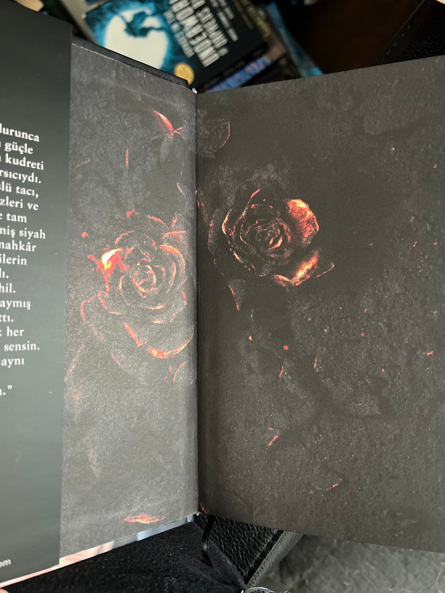 Kingdom of the Feared by Kerri Maniscalco Turkish Edition