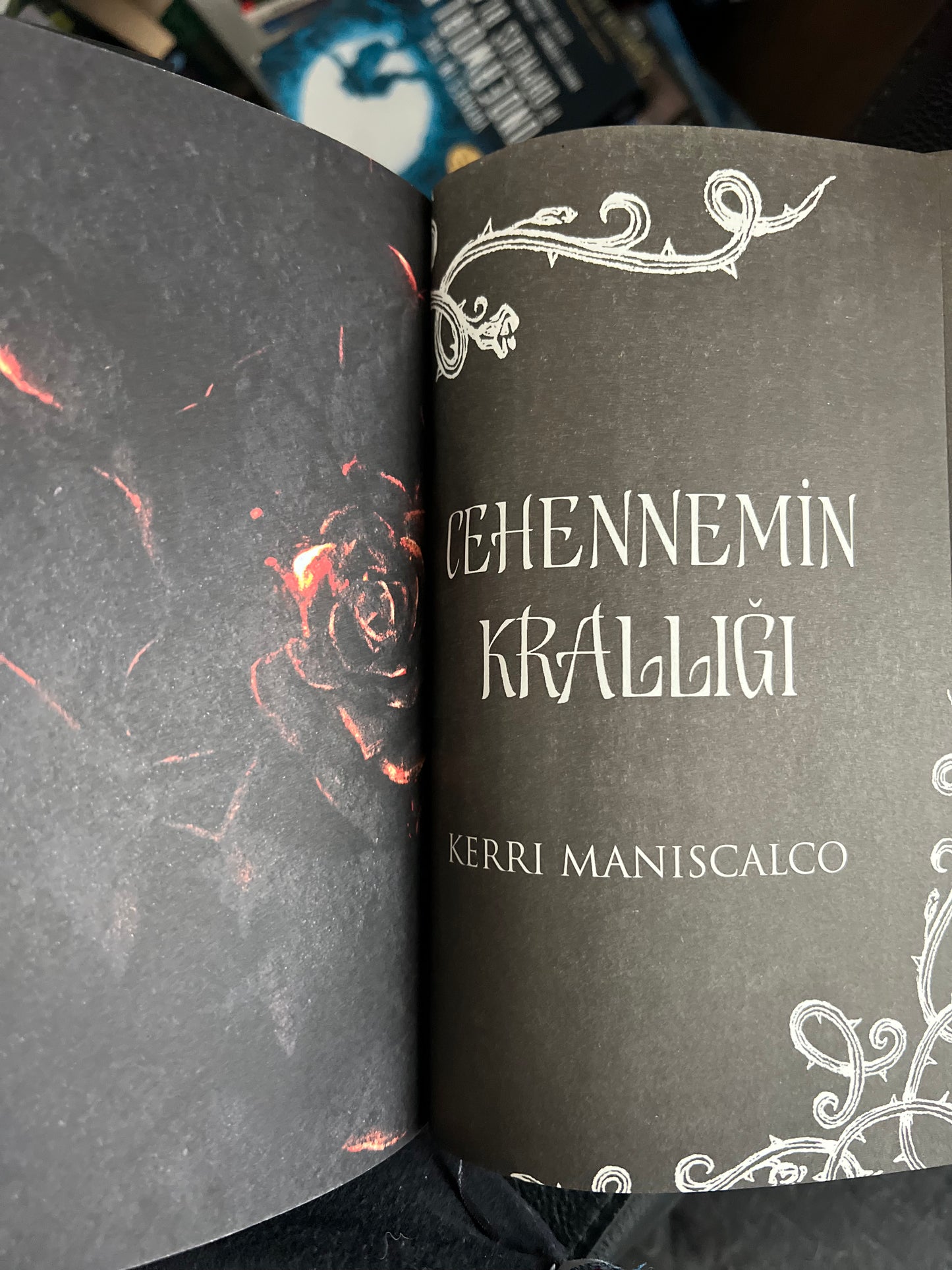 Kingdom of the Feared by Kerri Maniscalco Turkish Edition